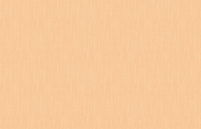 rapport