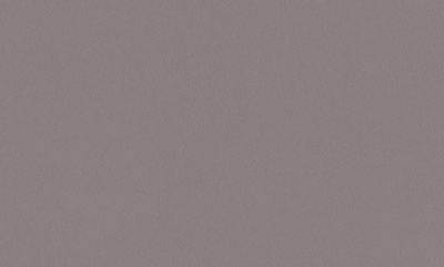 rapport
